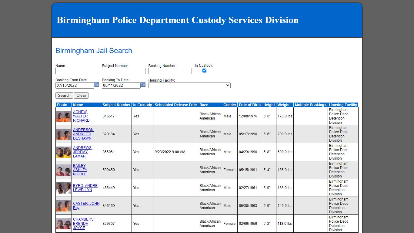 Birmingham Jail Search